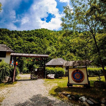 Fratii Jderi - Utopia Verde Brezoi Esterno foto