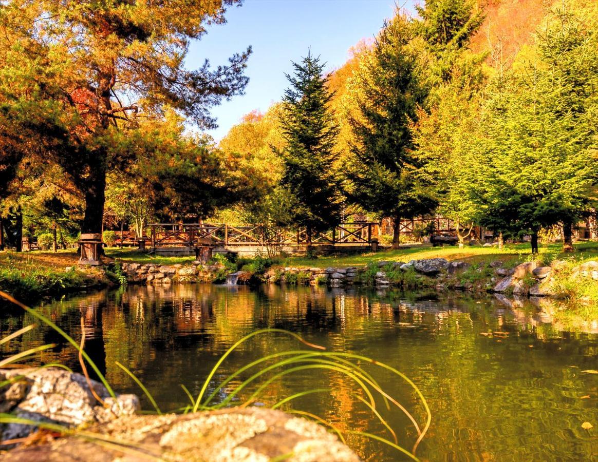 Fratii Jderi - Utopia Verde Brezoi Esterno foto