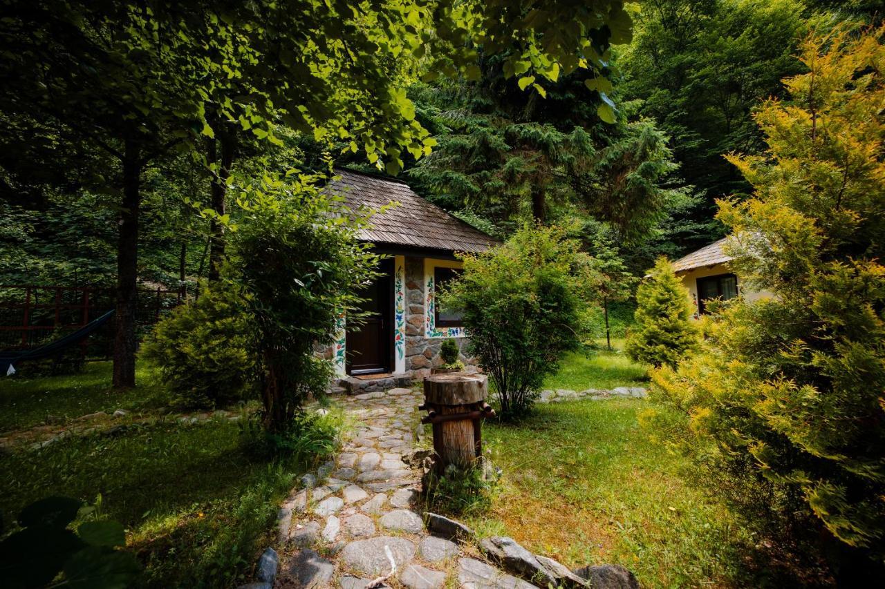 Fratii Jderi - Utopia Verde Brezoi Esterno foto