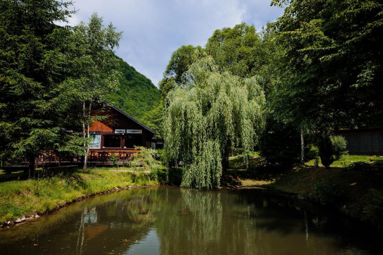 Fratii Jderi - Utopia Verde Brezoi Esterno foto
